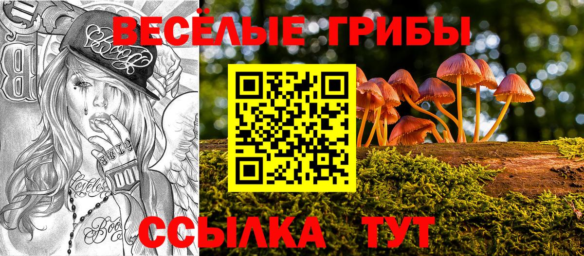 Псилоцибиновые грибы мицелий  Вход с VPN  Северск 